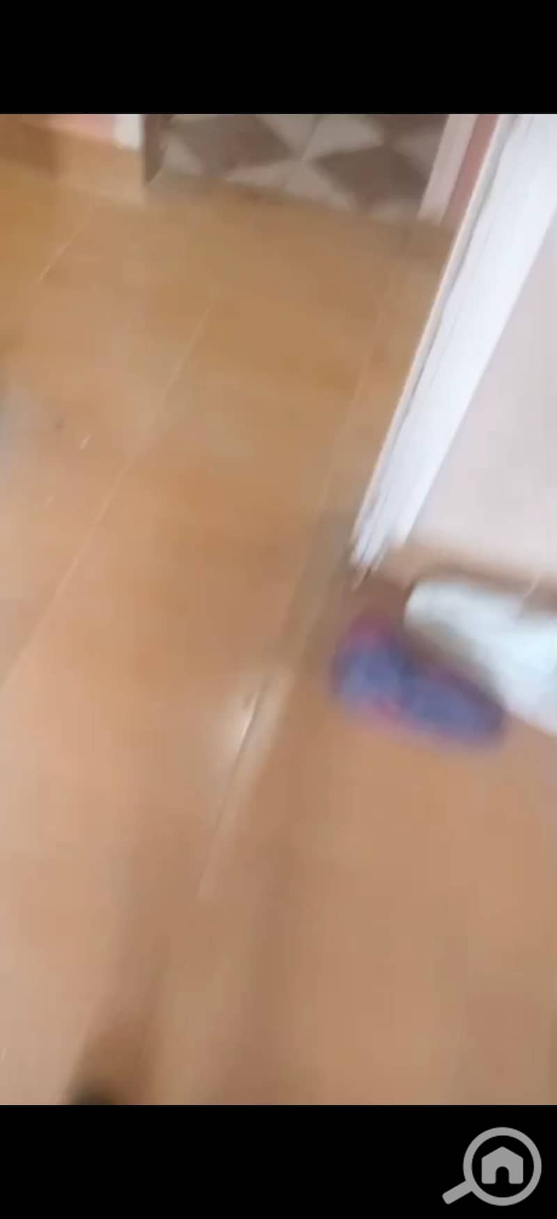 5 183314. jpg
