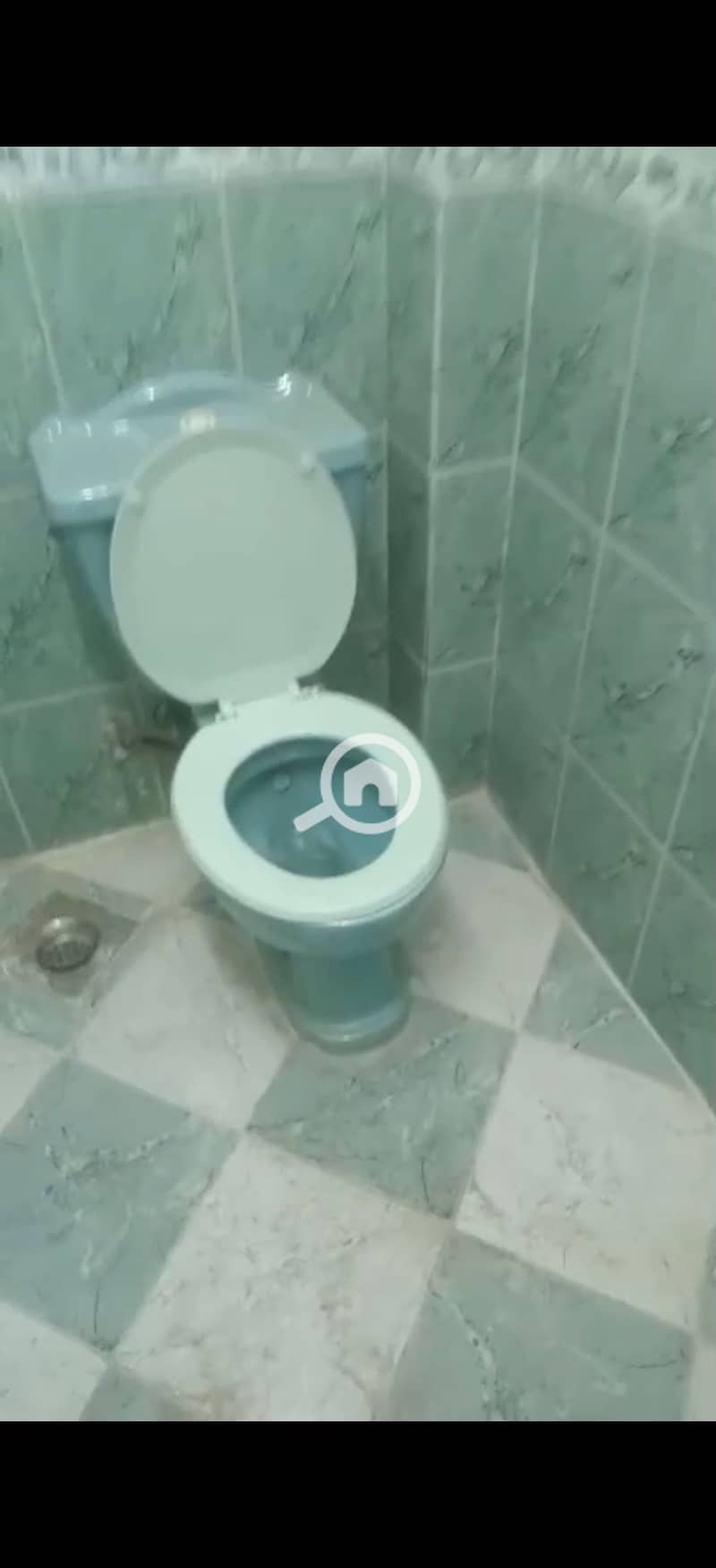 11 183303. jpg