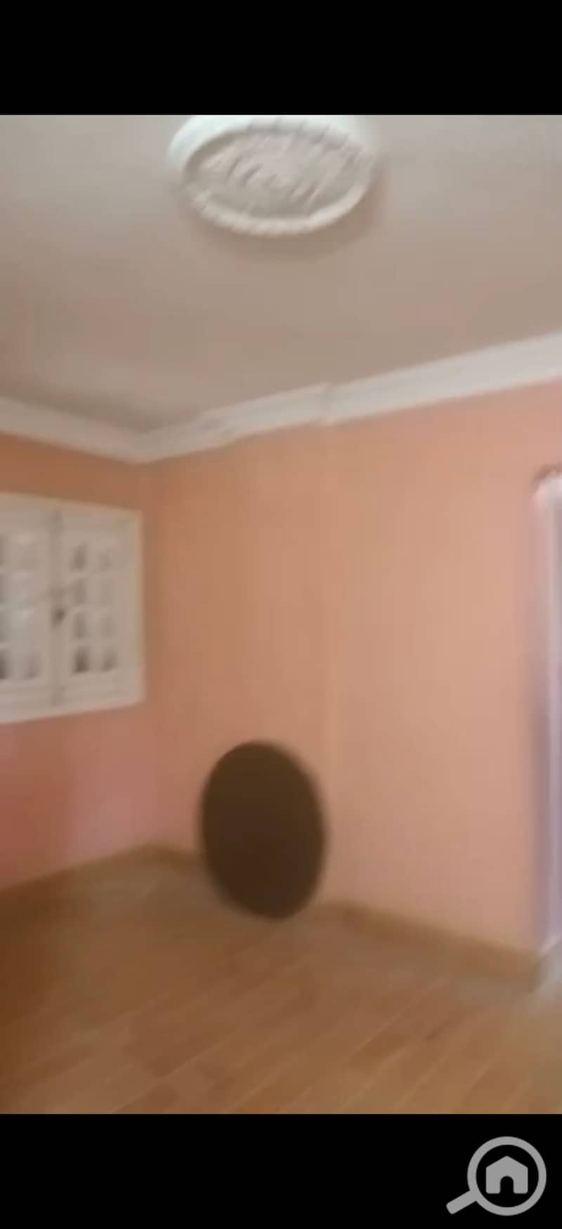 25 183288. jpg
