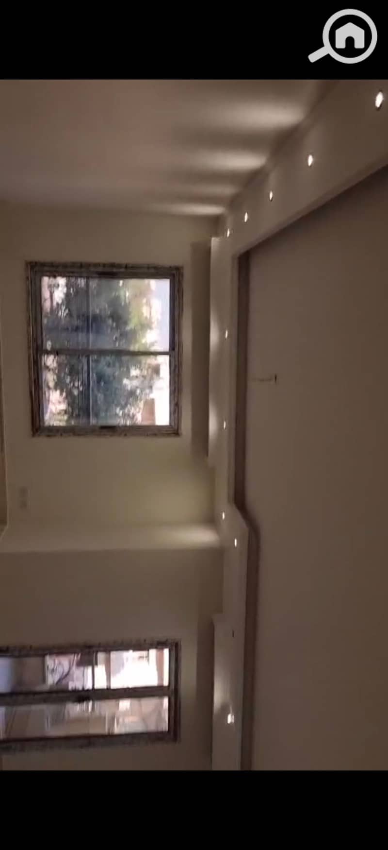 8 183371. jpg