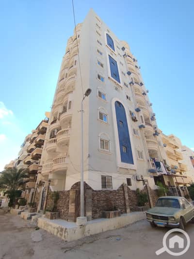 فلیٹ 2 غرفة نوم للبيع في النخيل، الإسكندرية - 1000538387. jpg فلیٹ 2 غرفة نوم للبيع في النخيل، الإسكندرية - 1000538387. jpg