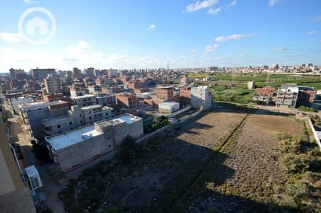 3 Bedroom Apartment for Sale in Smoha, Alexandria - 7fc43280-7b33-400e-9061-0cc7de16deef. jpg 3 Bedroom Apartment for Sale in Smoha, Alexandria - 7fc43280-7b33-400e-9061-0cc7de16deef. jpg