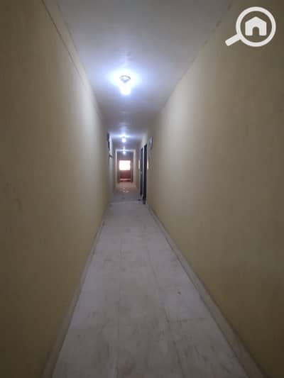3 Bedroom Flat for Sale in Hadayek al-Ahram, Giza - WhatsApp Image 2026-10-13 at 5.38. 19 PM. jpeg 3 Bedroom Flat for Sale in Hadayek al-Ahram, Giza - WhatsApp Image 2026-10-13 at 5.38. 19 PM. jpeg