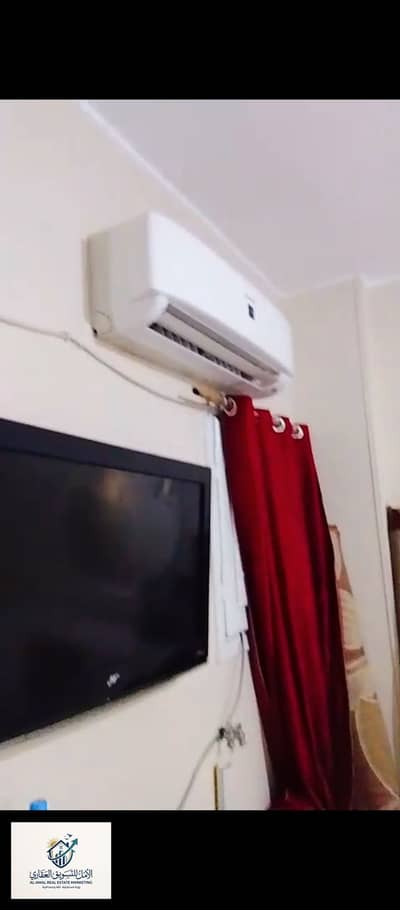 3 Bedroom Flat for Rent in Maadi, Cairo - 1000306614. jpg 3 Bedroom Flat for Rent in Maadi, Cairo - 1000306614. jpg