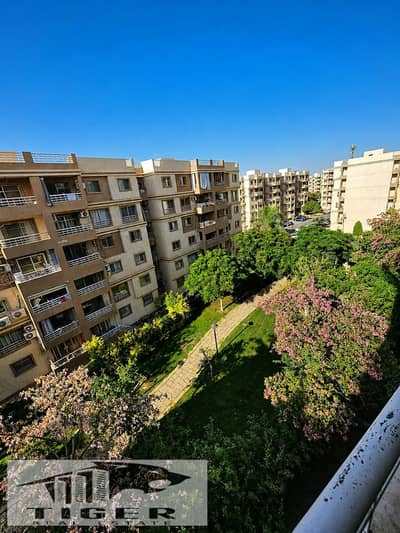 فلیٹ 3 غرف نوم للبيع في مدينتي، القاهرة - 323573. jpg فلیٹ 3 غرف نوم للبيع في مدينتي، القاهرة - 323573. jpg