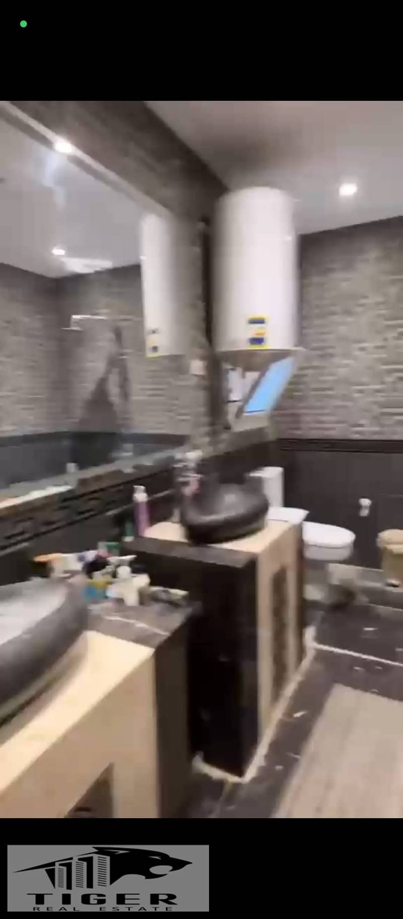 10 323638. jpg