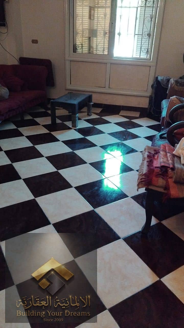 3 397083. jpg