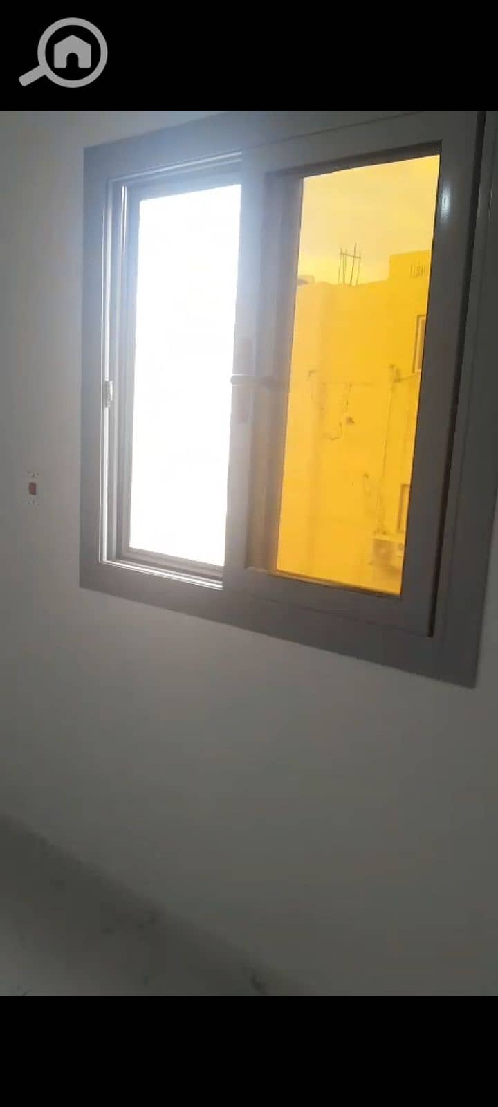 13 1000115743. jpg