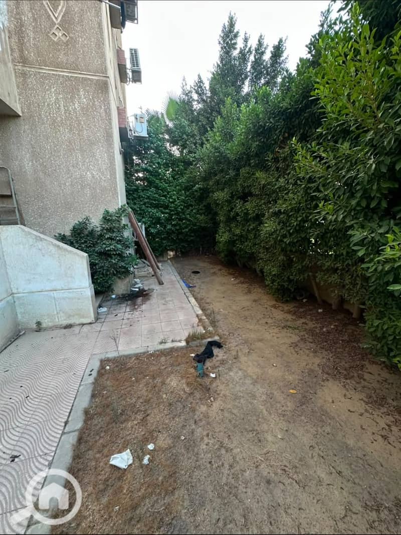 6 204497. jpg