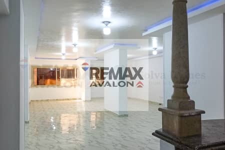 شقة 3 غرف نوم للايجار في العصافرة، الإسكندرية - 1. jpg شقة 3 غرف نوم للايجار في العصافرة، الإسكندرية - 1. jpg