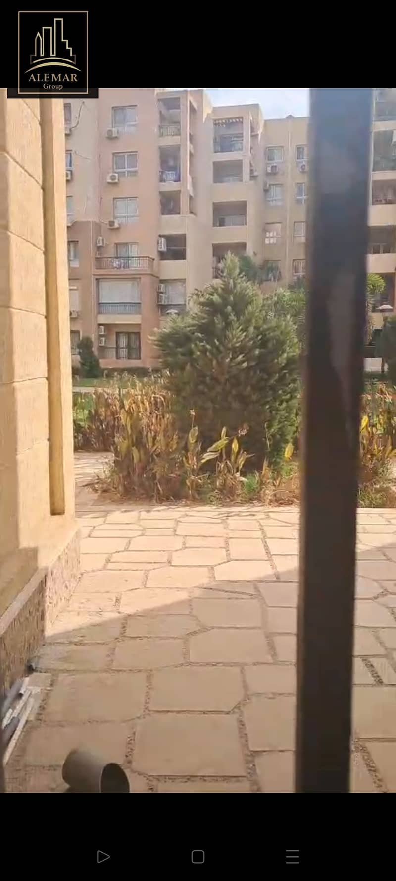 9 1000769181. jpg