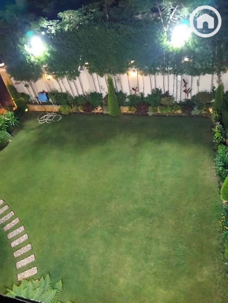4 468070. jpg