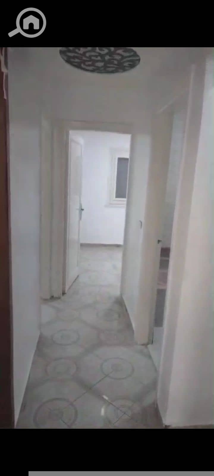 7 33835. jpg