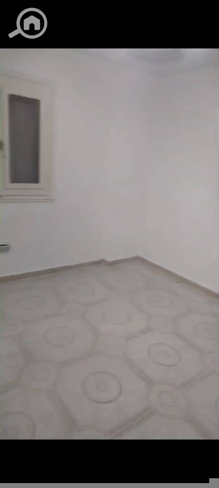 12 33842. jpg
