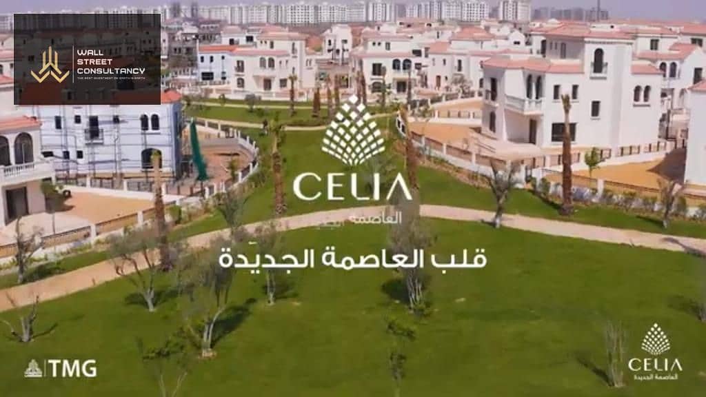 8 celia 2. jpeg