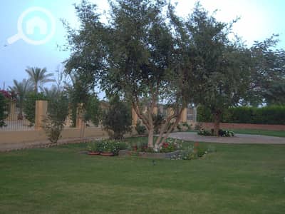 6 Bedroom Villa for Sale in Obour City, Cairo - WhatsApp Image 2026-10-19 at 11.57. 25 AM. jpeg 6 Bedroom Villa for Sale in Obour City, Cairo - WhatsApp Image 2026-10-19 at 11.57. 25 AM. jpeg