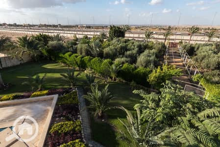 10+ Beds Villa for Sale in Shorouk City, Cairo - WhatsApp Image 2026-10-14 at 10.14. 12 PM. jpeg 10+ Beds Villa for Sale in Shorouk City, Cairo - WhatsApp Image 2026-10-14 at 10.14. 12 PM. jpeg