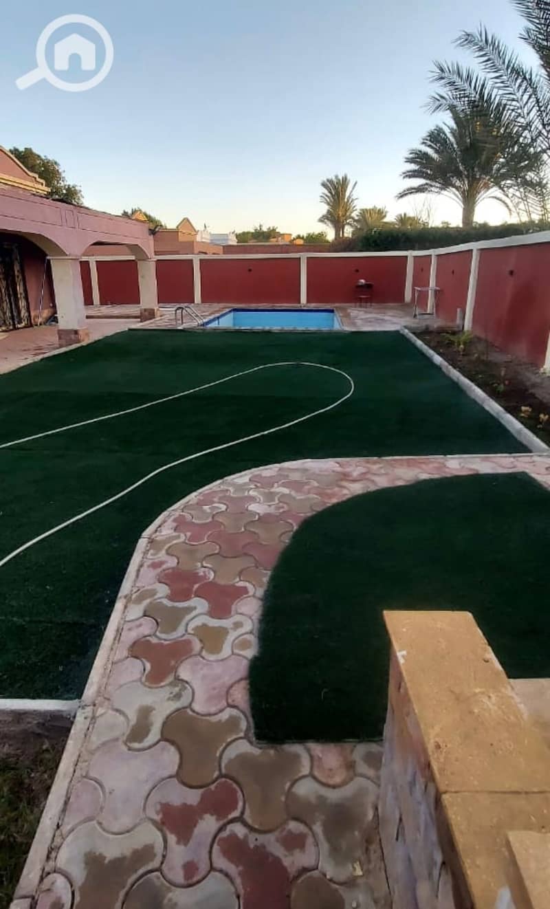 6 1000461443. jpg