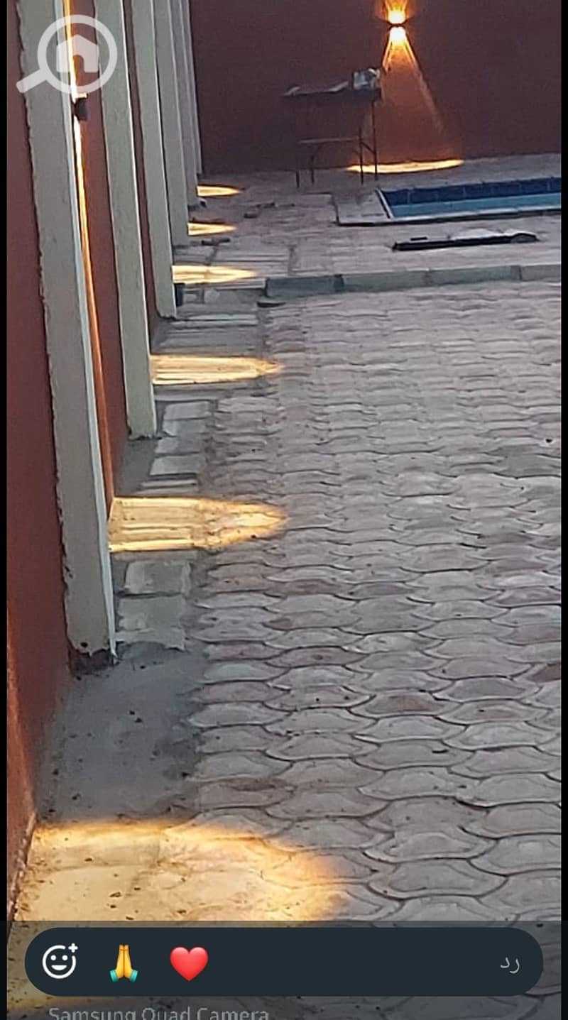 36 1000461353. jpg