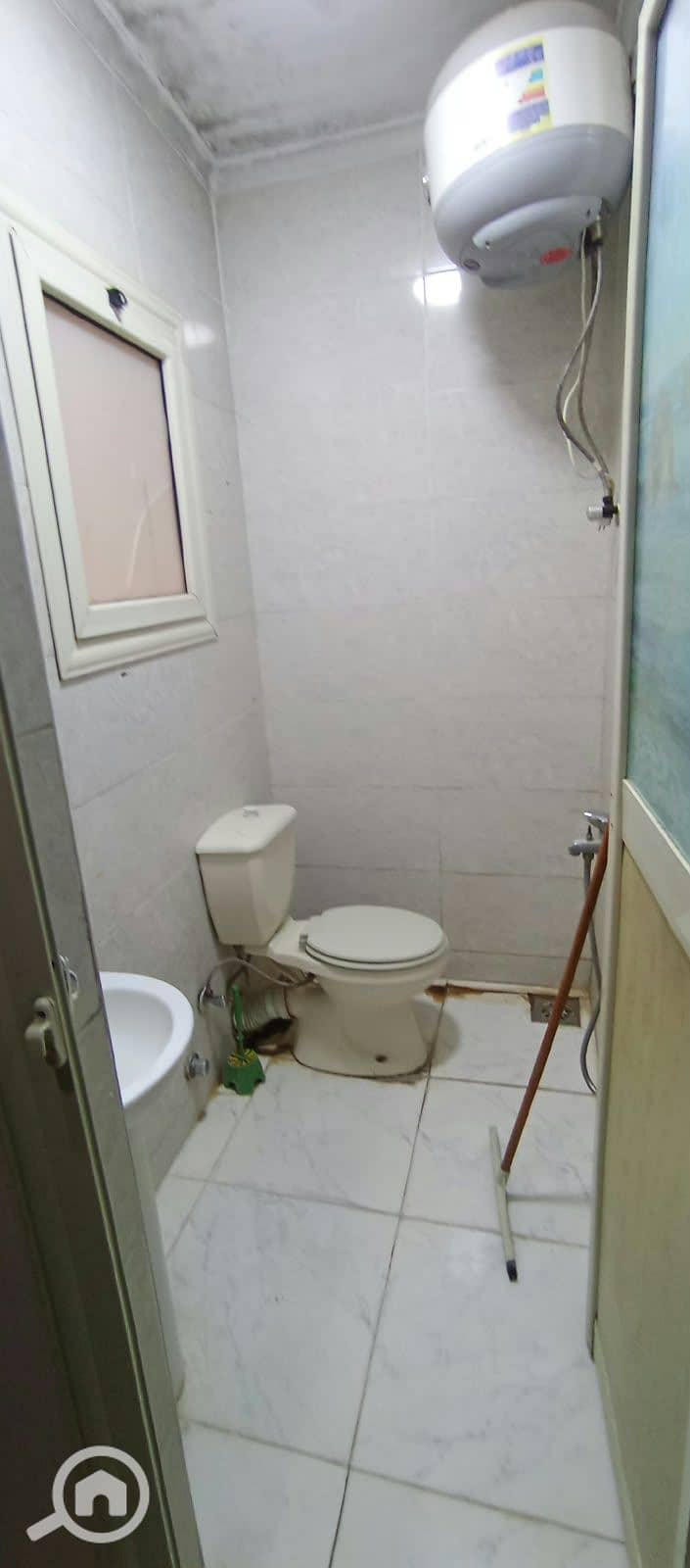 3 146736. jpg