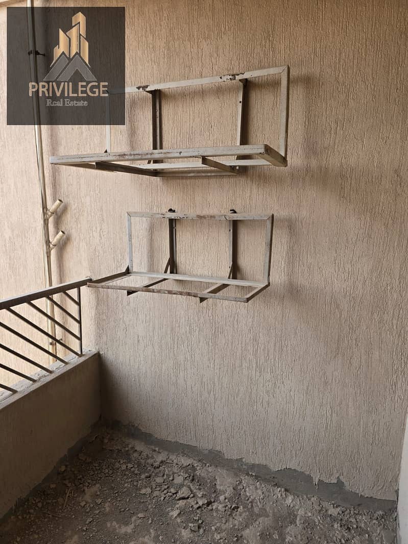 5 1000234433. jpg