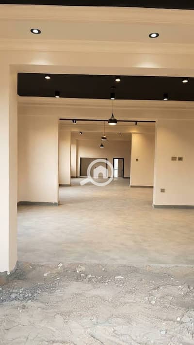 مکتب  للايجار في كفر عبدو، الإسكندرية - WhatsApp Image 2026-10-24 at 12.12. 25 AM. jpeg