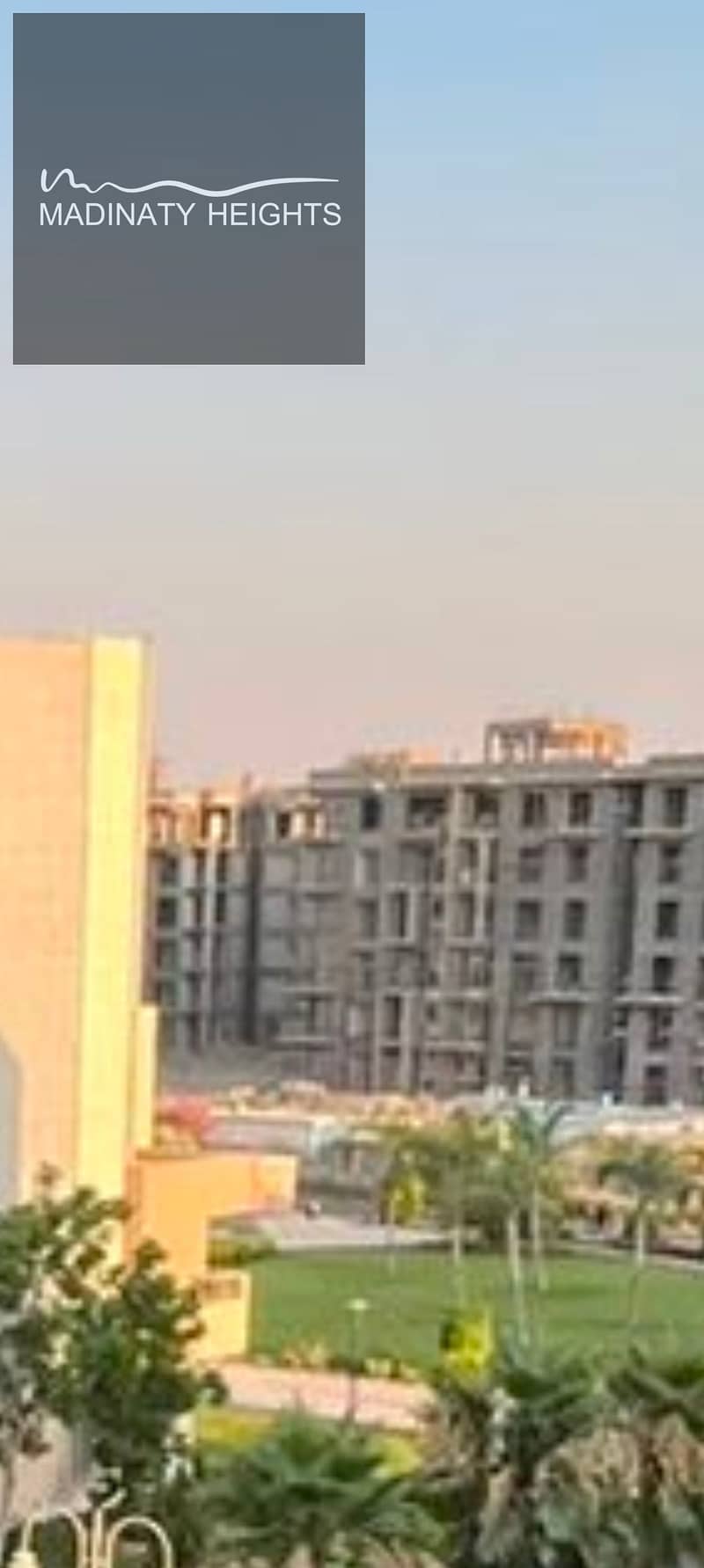 7 1001106342. jpg