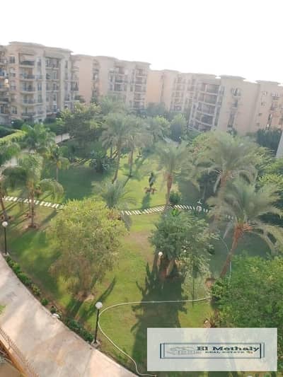 فلیٹ 4 غرف نوم للايجار في القاهرة الجديدة، القاهرة - WhatsApp Image 2026-10-24 at 3.35. 10 PM (4). jpeg فلیٹ 4 غرف نوم للايجار في القاهرة الجديدة، القاهرة - WhatsApp Image 2026-10-24 at 3.35. 10 PM (4). jpeg