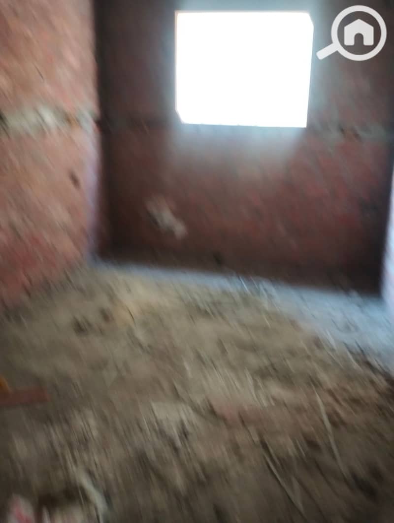 3 59970. jpg