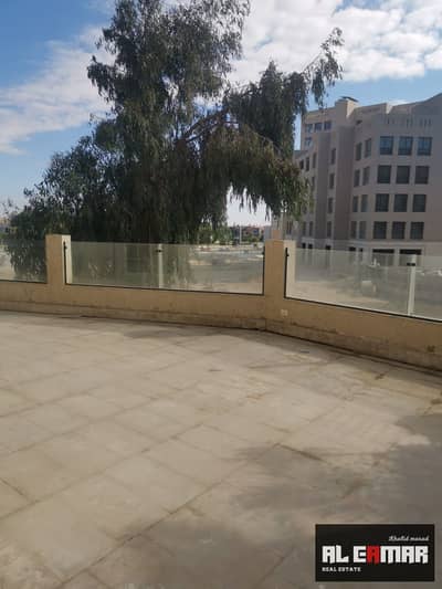 فلیٹ 3 غرف نوم للايجار في الشيخ زايد، الجيزة - WhatsApp Image 2026-10-24 at 3.55. 00 PM (1). jpeg فلیٹ 3 غرف نوم للايجار في الشيخ زايد، الجيزة - WhatsApp Image 2026-10-24 at 3.55. 00 PM (1). jpeg