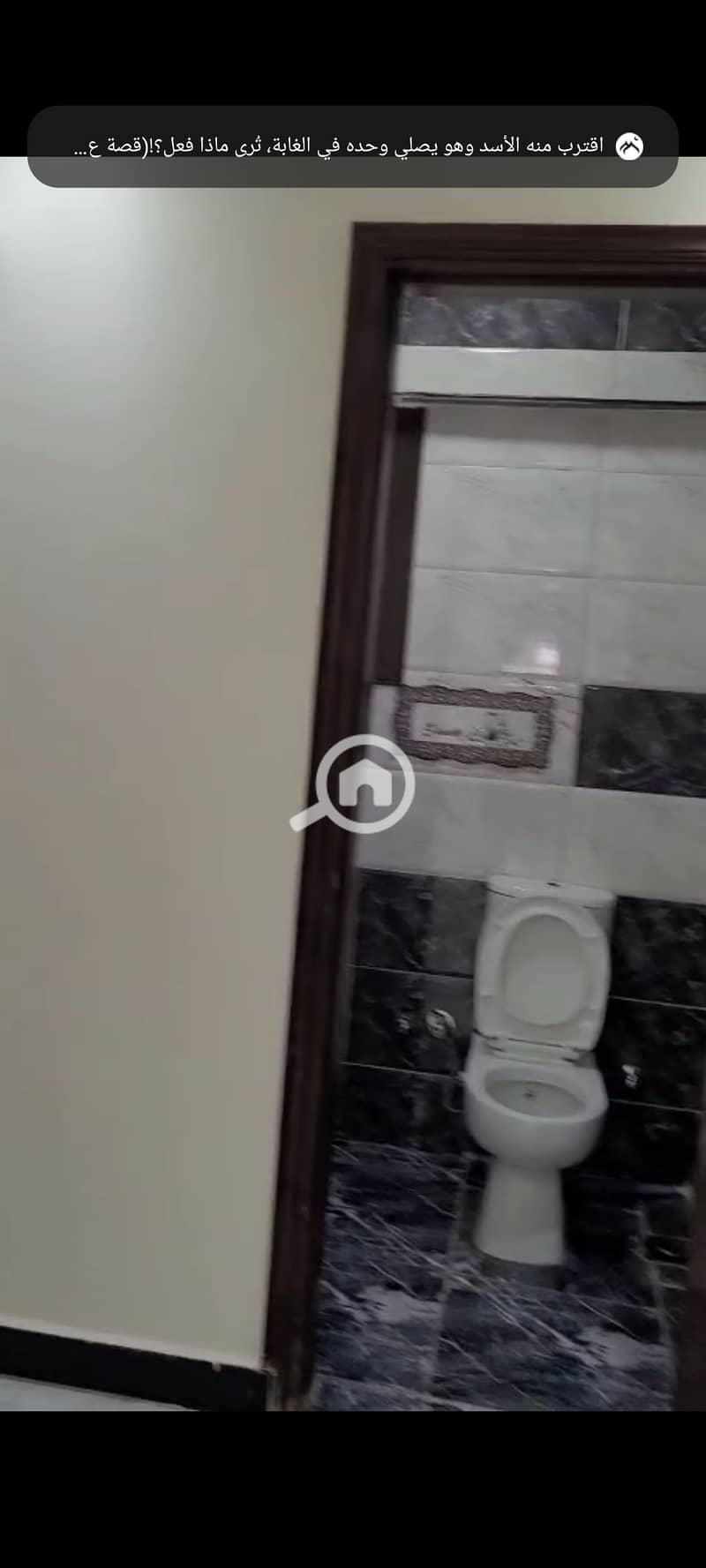 6 1000892342. jpg