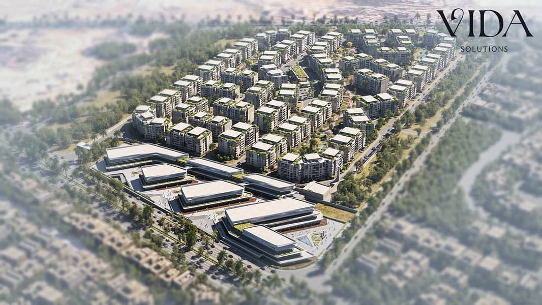11 Seven-11. jpg