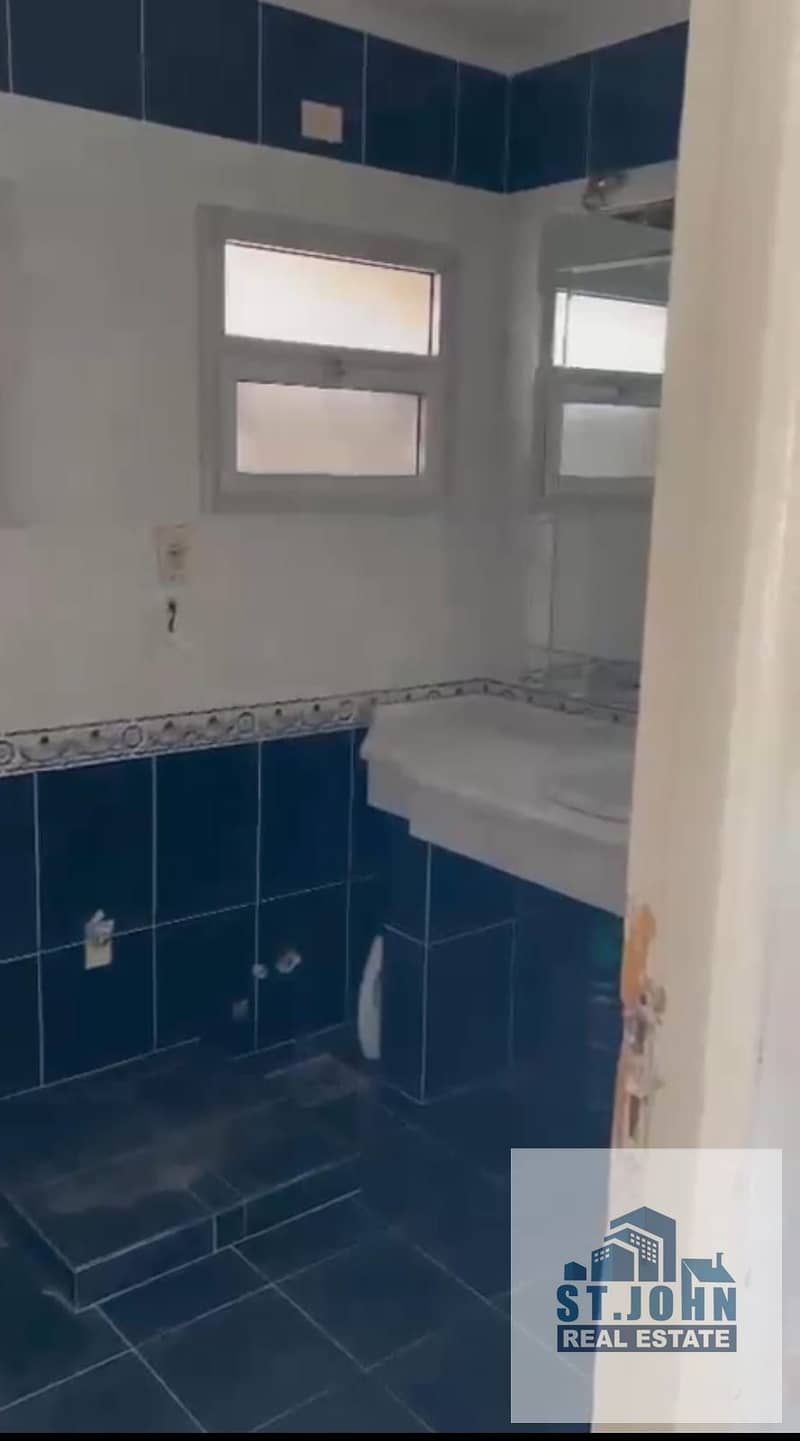 10 1000273333. jpg