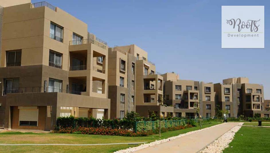 8 Palm Parks 4 1. jpg