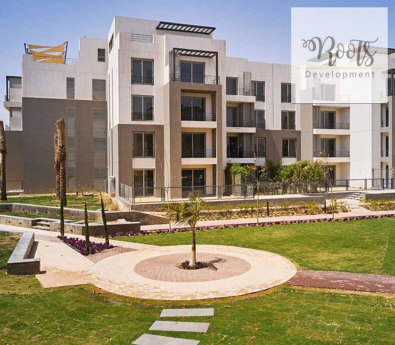 10 Palm Parks 6 1. jpg