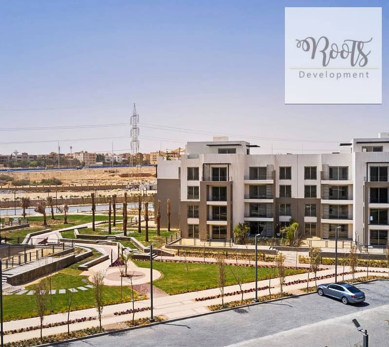 11 Palm Parks 7. jpg