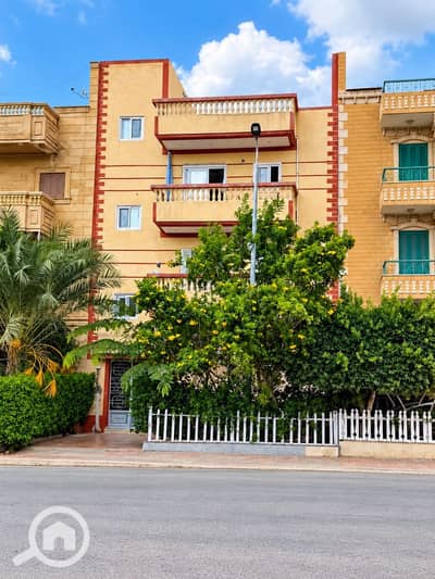 عقار سكني آخر 3 غرف نوم للبيع في دمياط الجديدة، دمياط - WhatsApp Image 2026-10-24 at 11.32. 21 PM. jpeg عقار سكني آخر 3 غرف نوم للبيع في دمياط الجديدة، دمياط - WhatsApp Image 2026-10-24 at 11.32. 21 PM. jpeg