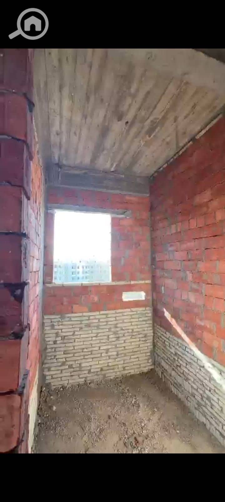 13 النرجس3. jpeg
