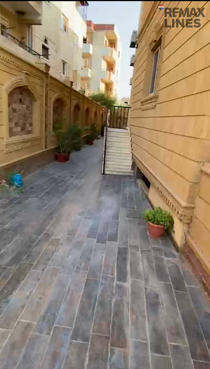 7 1001449330. jpg