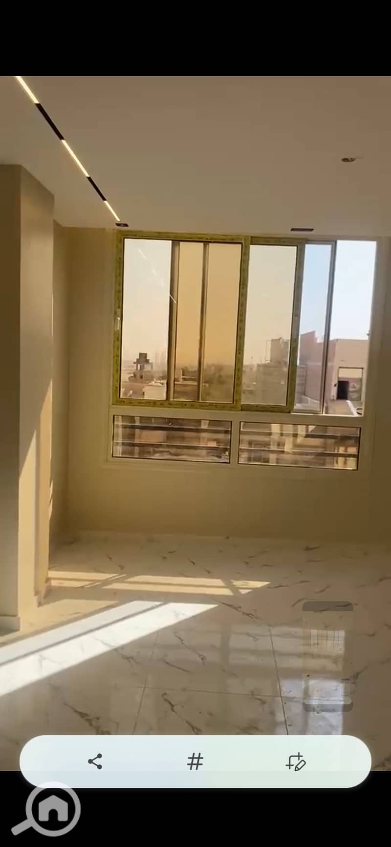 8 134609. jpg