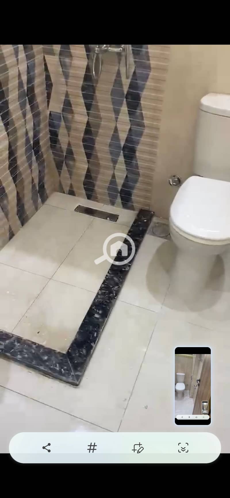 10 134635. jpg