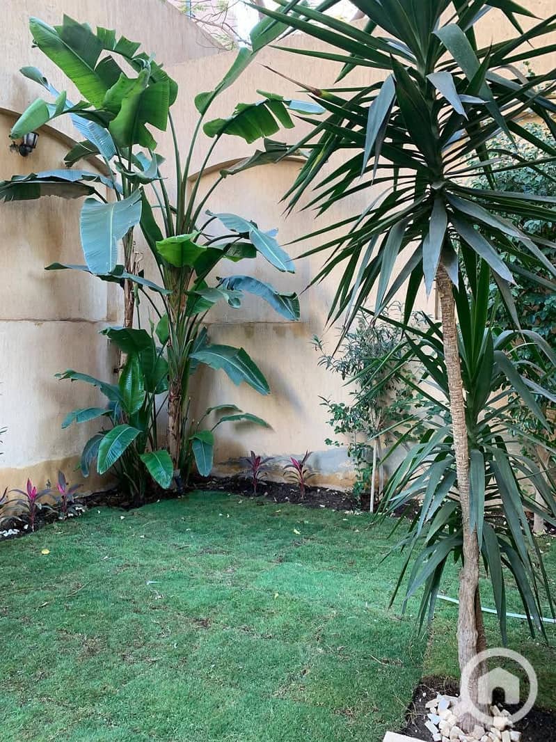 4 168182. jpg