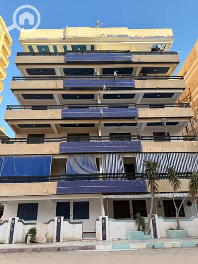 شقة 2 غرفة نوم للبيع في النخيل، الإسكندرية - 1000755108. jpg شقة 2 غرفة نوم للبيع في النخيل، الإسكندرية - 1000755108. jpg