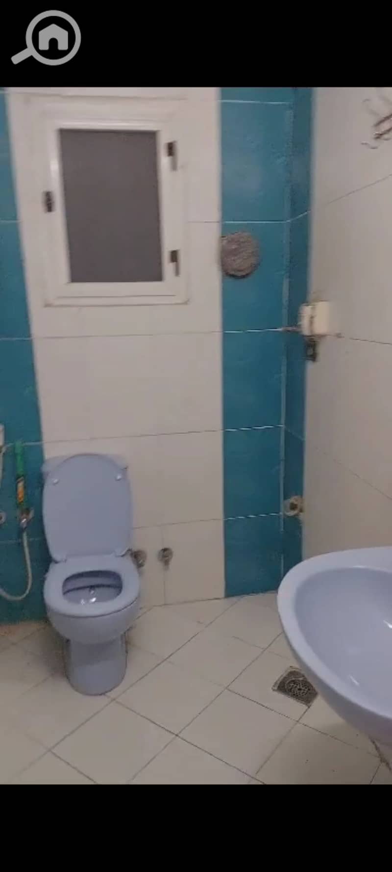 8 1000570371. jpg