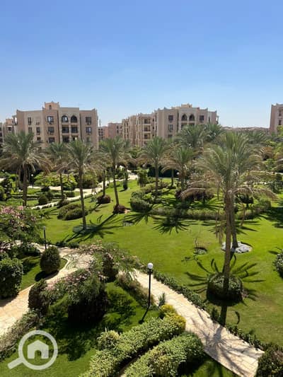 2 Bedroom Apartment for Sale in New Cairo, Cairo - IMG-20260920-WA0001. jpg 2 Bedroom Apartment for Sale in New Cairo, Cairo - IMG-20260920-WA0001. jpg