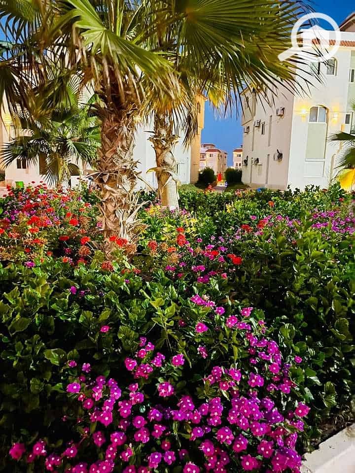 14 WhatsApp Image 2026-10-13 at 12.27. 40 PM. jpeg