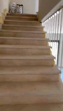 9 Picture6. jpg
