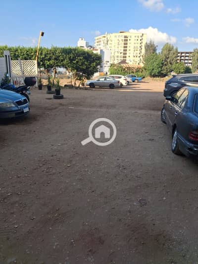 مستودع للبيع في المنصورة، الدقهلية - 277879. jpg مستودع للبيع في المنصورة، الدقهلية - 277879. jpg