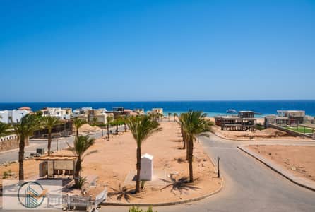 فلیٹ 2 غرفة نوم للبيع في سهل حشيش، البحر الأحمر - Gemini_Generated_Image_s62gcos62gcos62g(2). jpg فلیٹ 2 غرفة نوم للبيع في سهل حشيش، البحر الأحمر - Gemini_Generated_Image_s62gcos62gcos62g(2). jpg