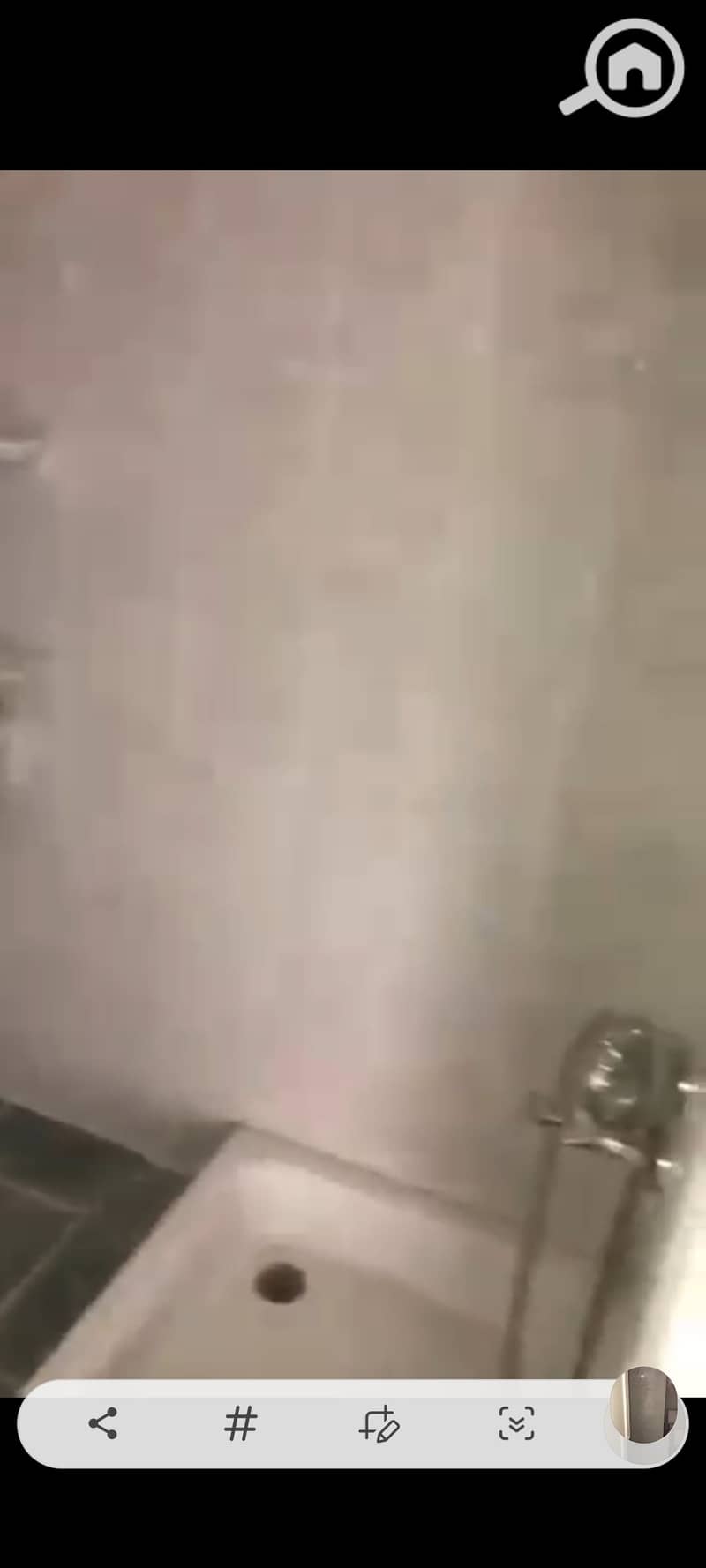 8 1001066485. jpg